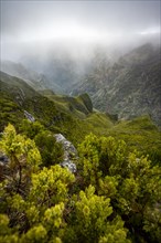 Mountains and ravines with fog, Achada do Teixeira, Madeira, Portugal, Europe