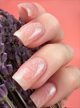 Gentle neat manicure on female hands on a background of dry flowers. Nail design