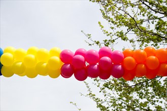 Colorful balloons in air between trees