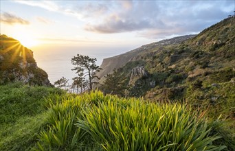Evening mood, greetings landscape at cliff, sea and coast, viewpoint Miradouro da Raposeira, Madeira, Portugal, Europe