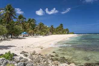 On the beach Plage de la Chapelle, Anse Bertrand, Grande-Terre, Guadeloupe, France, North America
