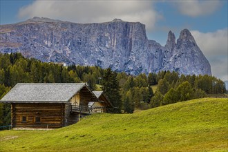 Alpine huts on the Alpe di Siusi, behind the peak of the Sciliar, Val Gardena, Dolomites, South Tyrol, Italy, Europe