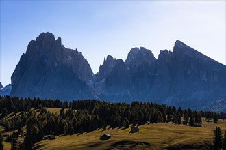 Autumnal alpine meadows and alpine huts on the Alpe di Siusi, behind the peaks of the Sassolungo group, Val Gardena, Dolomites, South Tyrol, Italy, Europe