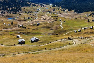 Autumnal alpine pastures and huts above San Cristina, Val Gardena, Dolomites, South Tyrol, Italy, Europe