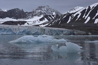 14th of July Glacier, 14e Julebreen, glacier front, in front ice chunks in the fjord, behind glaciated mountains, Krossfjorden, Spitsbergen