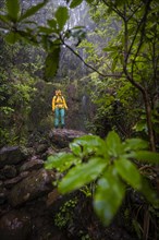 Hiker standing in the forest in front of waterfall at Vereda Francisco Achadinha, Rabacal, Madeira, Portugal, Europe