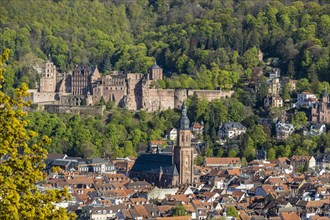 Heidelberg Castle is one of the most visited tourist attractions in Europe, Old Town with Heiliggeistkirche, Heidelberg, Baden-Wuerttemberg, Germany, Europe
