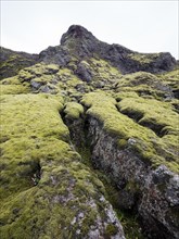 Fissure caused by volcanic eruption, crater landscape Tjarnargigur, moss-covered volcanic landscape, Laki crater landscape, highlands, South Iceland, Suourland, Iceland, Europe