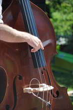 Man playing double bass