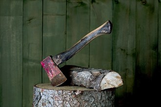 Axe on chopping block with log in front of green wooden wall, studio shot, Germany, Europe