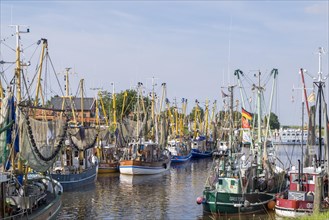 Crab cutter in the fishing harbour, Greetsiel, Krummhoern, East Frisia, Lower Saxony, Germany, Europe