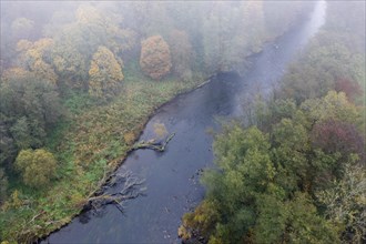 Foggy atmosphere, River Thaya in autumn, National Park Thayatal, Hardegg, Lower Austria, Austria, Europe