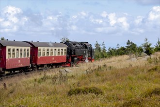 Steam train, Brockenbahn, narrow-gauge railway, Brocken, Harz, Saxony-Anhalt, Germany, Europe