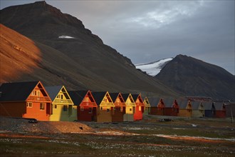 Colourful wooden houses in the evening light, in front of meadow with white cottongrass