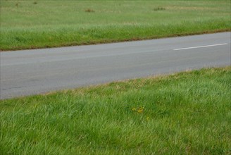 Road in France