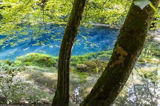 Blautopf, source of the blue, excursion destination in the Swabian Alb, Blaubeuren, Baden-Wuerttemberg, Germany, Europe
