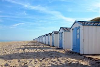 Row of white and blue beach huts on the beach of island Texel in the Netherlands with blue sky on sunny day