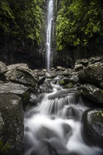 River and waterfall Cascata das 25 Fontes, long exposure, Rabacal, Paul da Serra, Madeira, Portugal, Europe