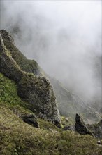 Fog on a rocky cliff, Central Mountains of Madeira, Madeira, Portugal, Europe
