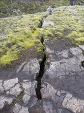 Fissure caused by volcanic eruption, moss-covered volcanic landscape, Tjarnargigur, Laki crater landscape, highlands, South Iceland, Suourland, Iceland, Europe