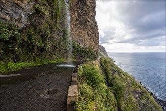 Cascata dos Anjos, waterfall over a road on the coast, Madeira, Portugal, Europe