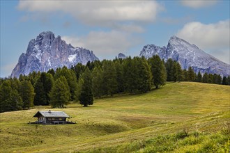 Autumnal meadows and alpine hut on the Alpe di Siusi, behind the snow-covered peaks of the Sassolungo group, Val Gardena, Dolomites, South Tyrol, Italy, Europe