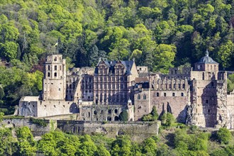 Heidelberg Castle is one of the most visited tourist attractions in Europe, Heidelberg, Baden-Wuerttemberg, Germany, Europe