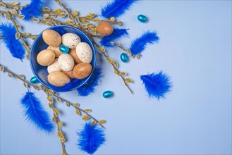 Palm catkin with Easter decoration, eggs, feathers, blue background, copy room