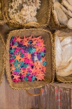Beautiful starfish for decorative purposes