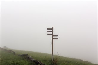 Signposts for hiking trails on mountain peak Koeterberg in fog, dreary autumn weather, Luegde, Weserbergland, North Rhine-Westphalia, Germany, Europe