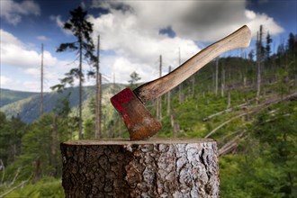Axe on chopping block in front of damaged forest, Black Forest, Baden-Wuerttemberg, Composing, Germany, Europe