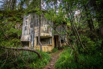 Abandoned, destoyed concrete bunker with embrasure in summer forest.Entrance to the bunker. Dolomites, Italy, Dolomites, Italy, Europe