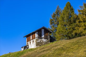 Abandoned alpine hut on the Alpe di Siusi, Val Gardena, South Tyrol, Italy, Europe