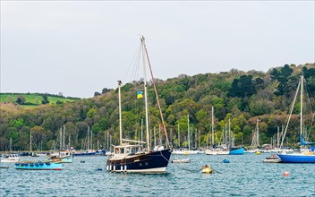 Yachts and Boats over River Dart, Kingswear from Dartmouth, Devon, England, United Kingdom, Europe