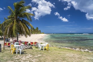 On the beach Plage de la Chapelle, Anse Bertrand, Grande-Terre, Guadeloupe, France, North America