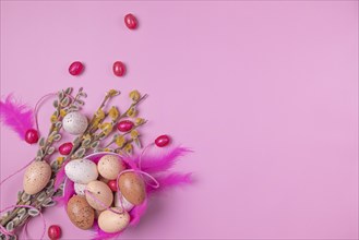 Palm catkin with Easter decoration, eggs, feathers, pink background, copy room