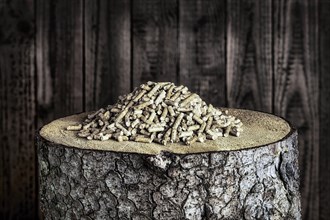 Wood pellets on wooden stump in front of wooden wall, studio shot, Germany, Europe