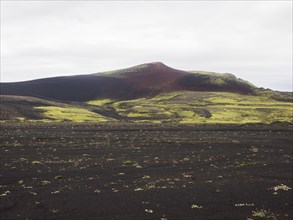 Tjarnargigur crater landscape, moss-covered volcanic landscape, Laki crater landscape, highlands, South Iceland, Suourland, Iceland, Europe