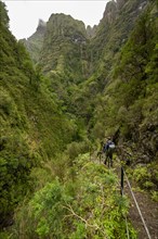 Hikers on a narrow path along a levada, forested mountains and ravines, Levada do Caldeirao Verde, Parque Florestal das Queimadas, Madeira, Portugal, Europe
