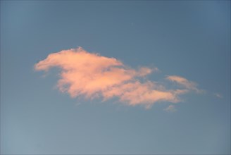 Orange fluffy cloud in a blue sky