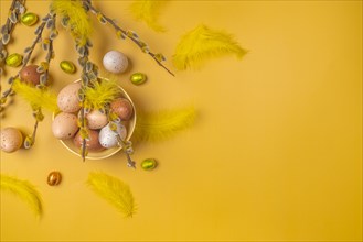 Palm catkin with Easter decoration, eggs, feathers, yellow background, copy room