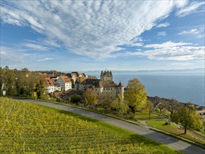 View over vineyard to the historic and inhabited Meersburg Castle, Lake Constance district, Baden-Wuerttemberg, Germany, Europe