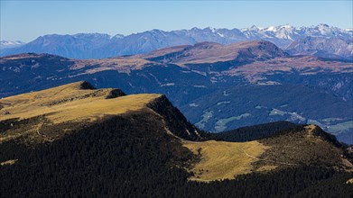 Autumn alpine pastures of Rasciesa, Stubai Alps in the background, Val Gardena, Dolomites, South Tyrol, Italy, Europe