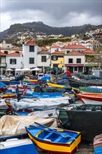 Fishing boats and colourful houses, Camara de Lobos, Madeira, Portugal, Europe