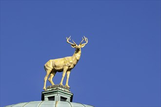 Stag on the dome of the Wuerttembergischer art society building, Stuttgart, Baden-Wuerttemberg, Germany, Europe