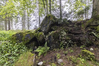 Remains of the ruins of Adolf Hitlers Tannenberg Fuehrer headquarters on Kniebis, the site was blown up after the war, Black Forest, Baiersbronn, Baden-Wuerttemberg, Germany, Europe