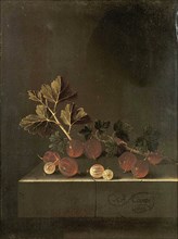 A Gooseberry Branch on a Stone Pedestal, Gooseberries, Painting by Adriaen Coorte