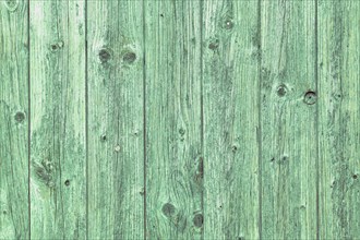 Wooden background with green colored planks