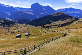 Autumnal alpine pastures and alpine huts above San Cristina, in the background the Picberg and the Sassolungo group, Val Gardena, Dolomites, South Tyrol, Italy, Europe