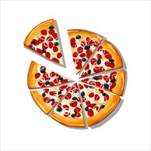 Sliced Pizza Calabresa cartoon over white background, vector illustration
